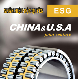Esg Bearing - Nhãn hiệu độc quyền
