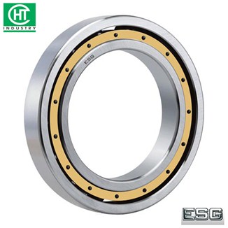 VÒNG BI 6032M - ESG