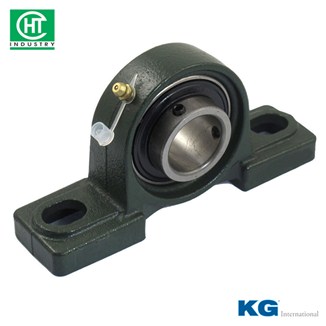 VÒNG BI UCP 210 - KG
