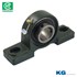 VÒNG BI UCP 215